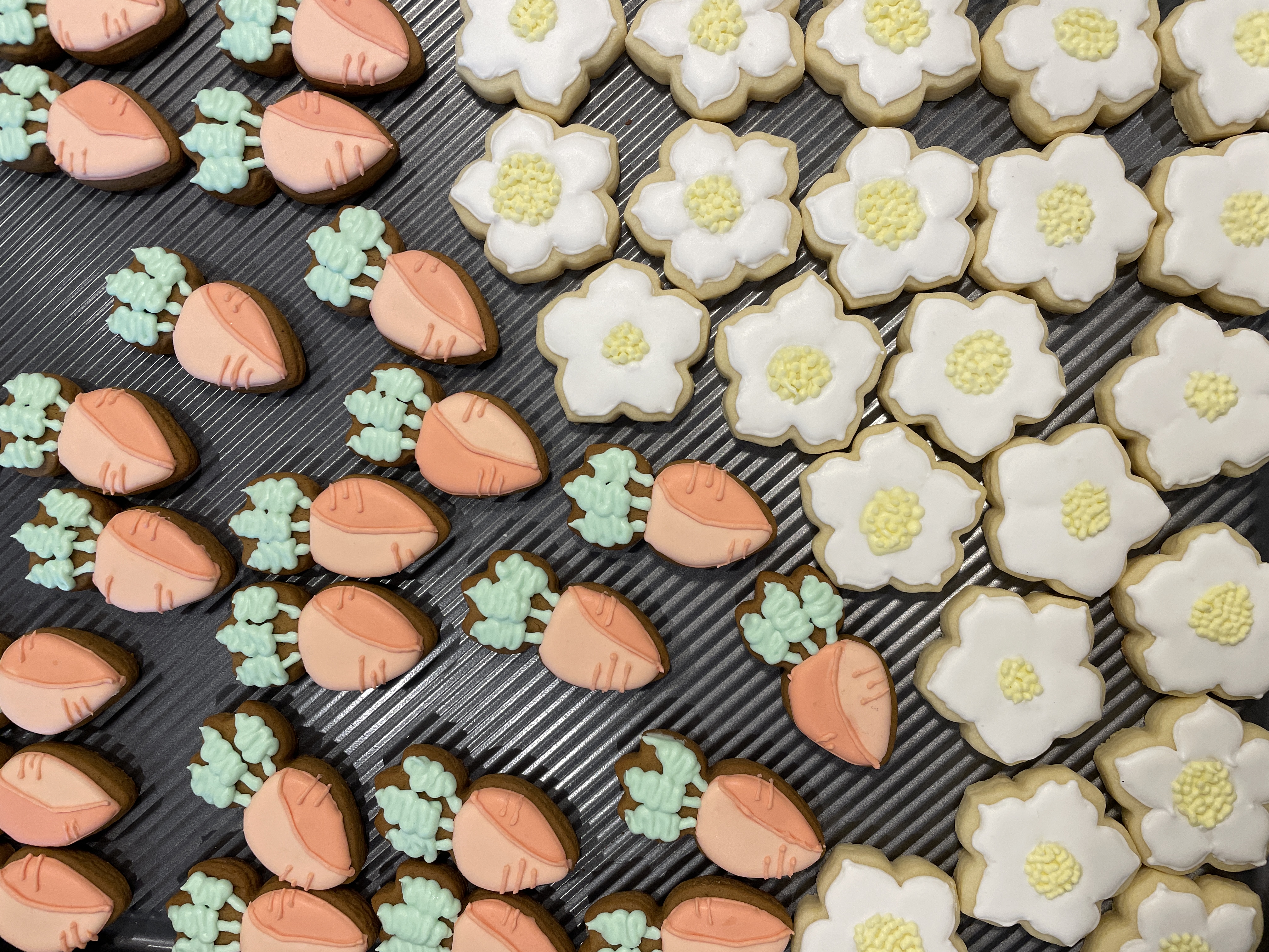 Spring Carrots & Daisies